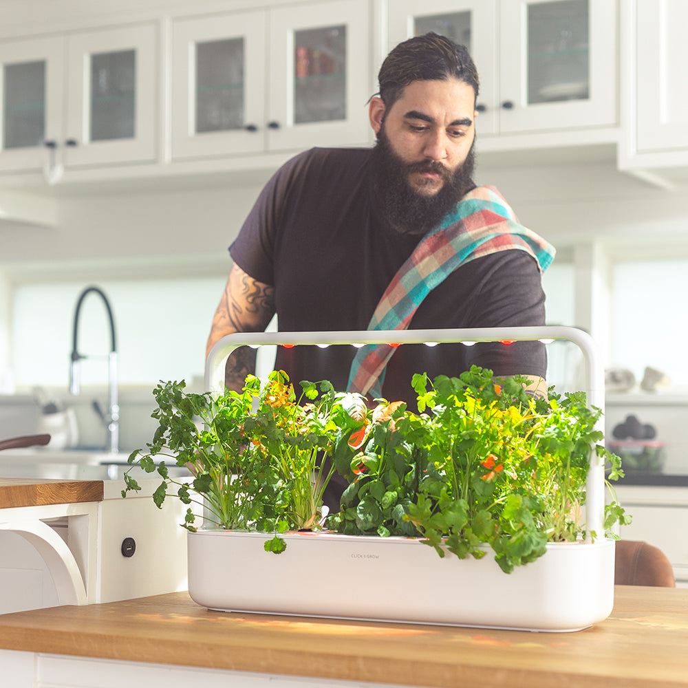 Click & Grow Smart Garden 9 Indoor Kräutergarten Szene Küche Mann pflückt Kräuter