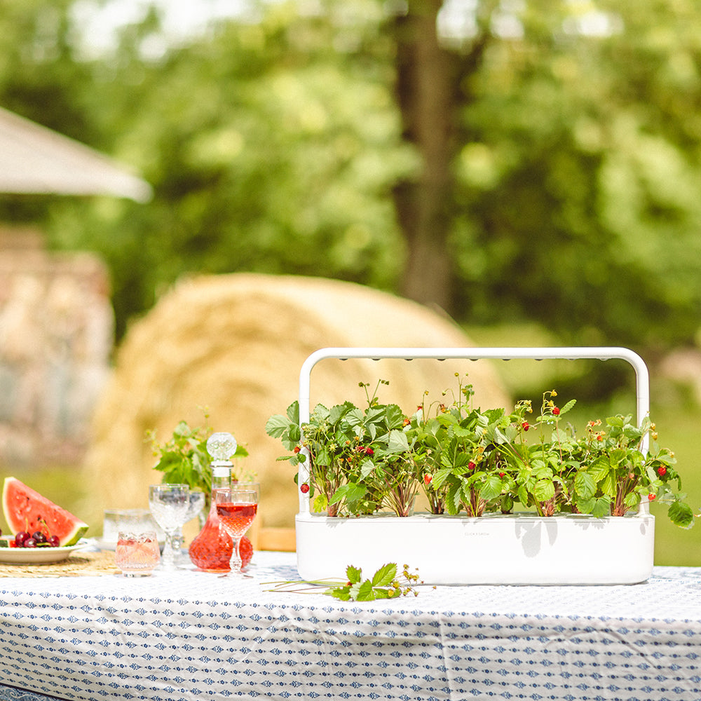 Click & Grow Smart Garden 9 Indoor Kräutergarten Szene Outdoor Gartentisch