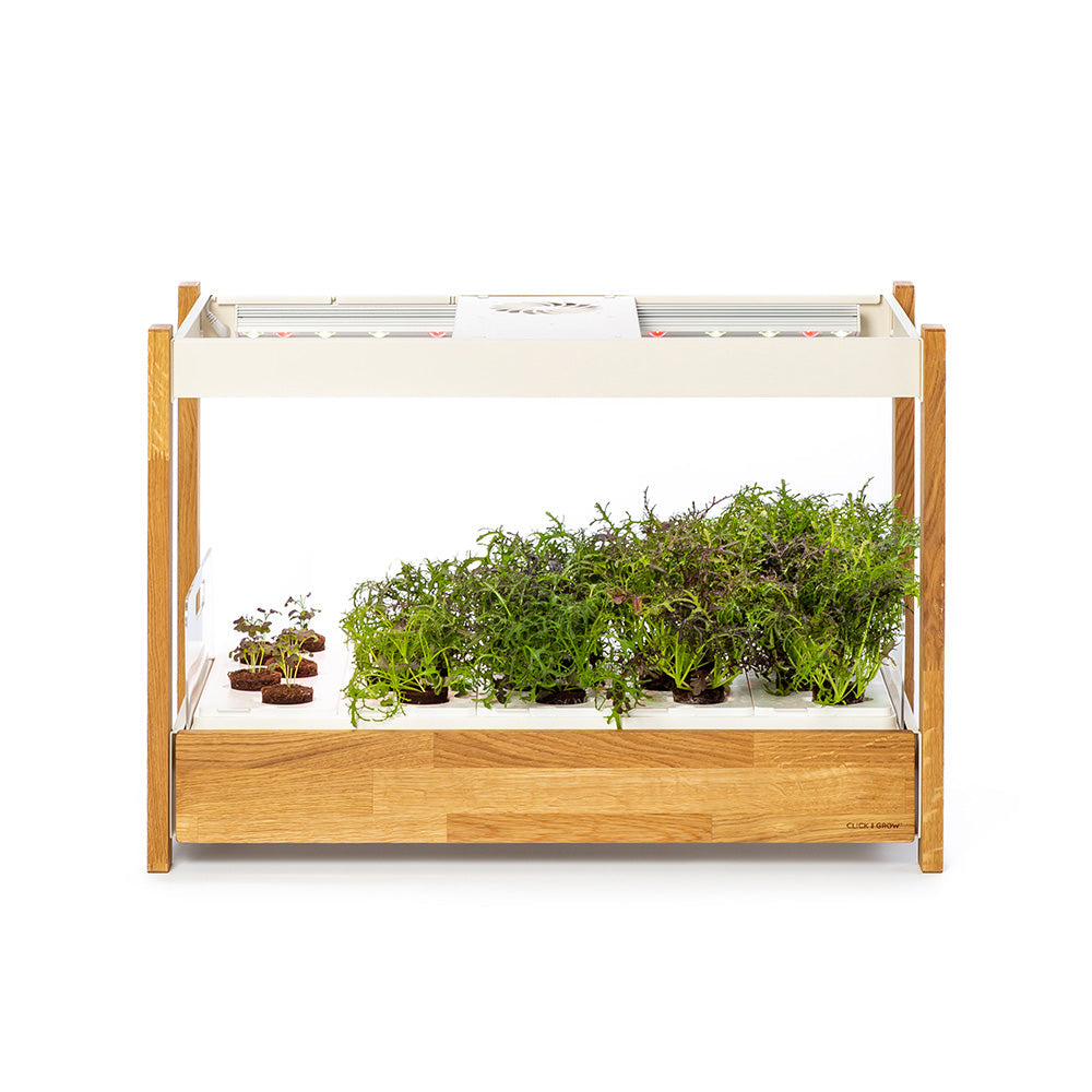 Click & grow 25 Indoor Kräutergarten vorne