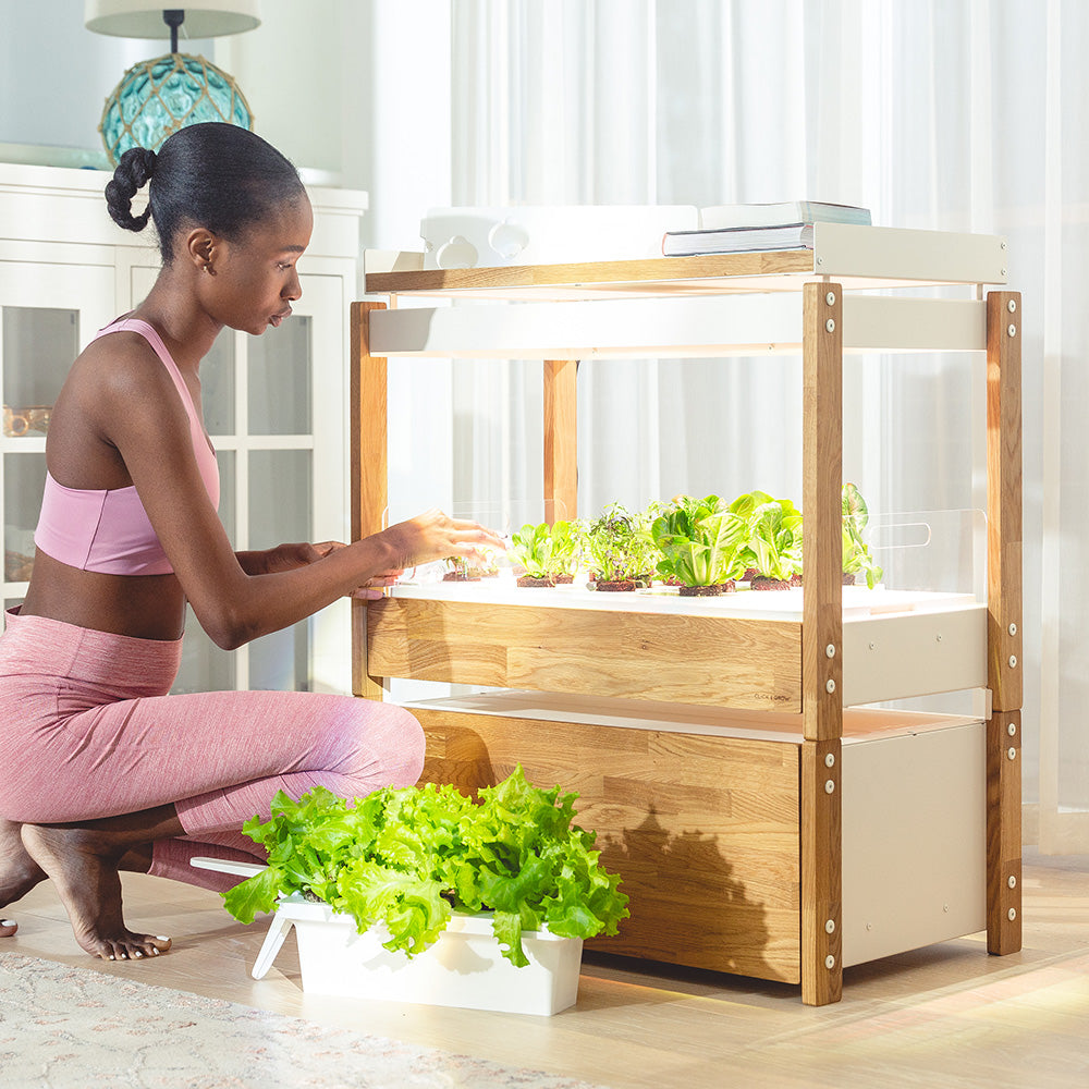 Click & grow 25 Indoor Kräutergarten Szene Frau Pflege