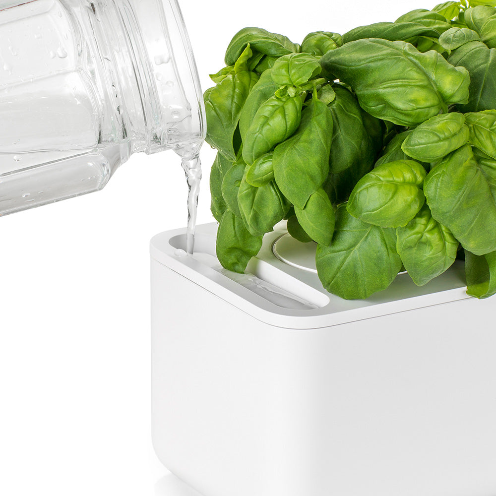 Click & grow Smart Garden 3 Indoor Kräutergarten Wassertank