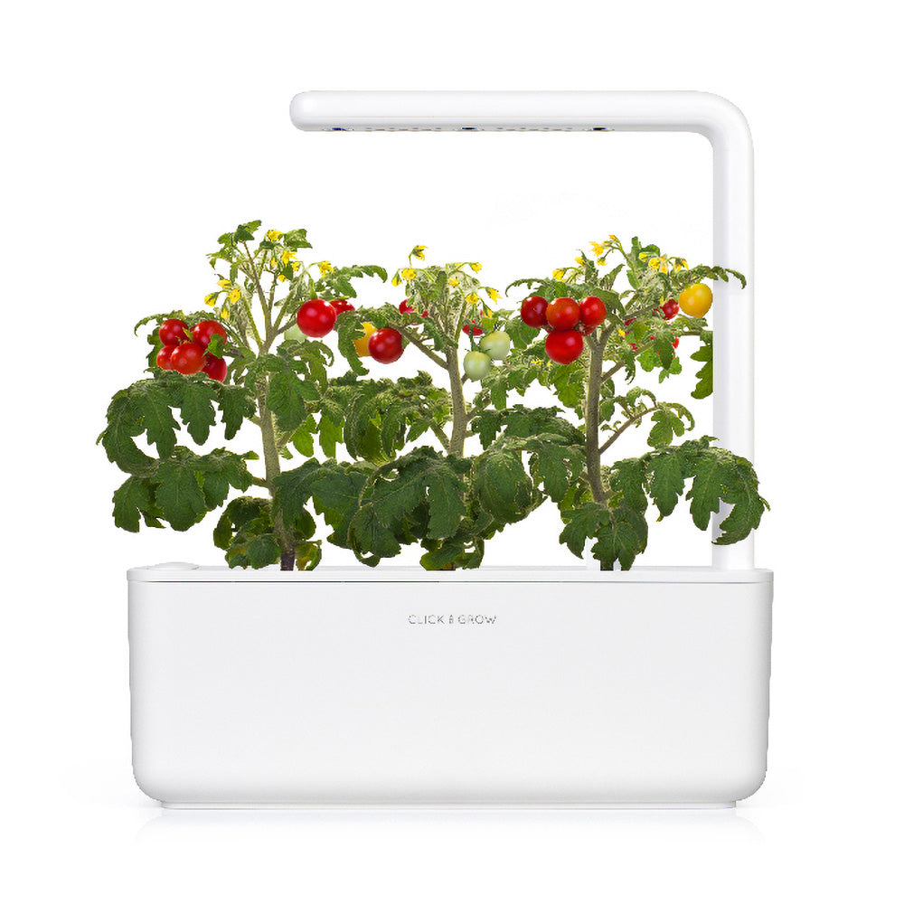 Click & grow Smart Garden 3 Indoor Kräutergarten weiß mit Tomaten